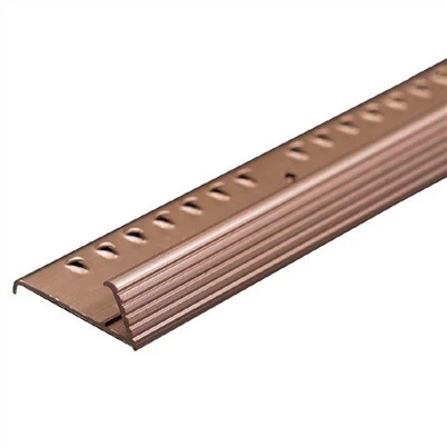 Grip الألومنيوم السجاد قطاع